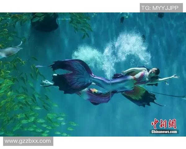 水中飞翔:激情与艺术交织的游泳表演盛宴 水中飞翔:激情与艺术交织的游泳表演盛宴